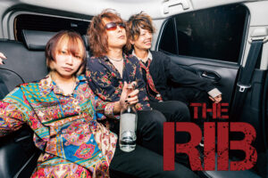 THE RIB