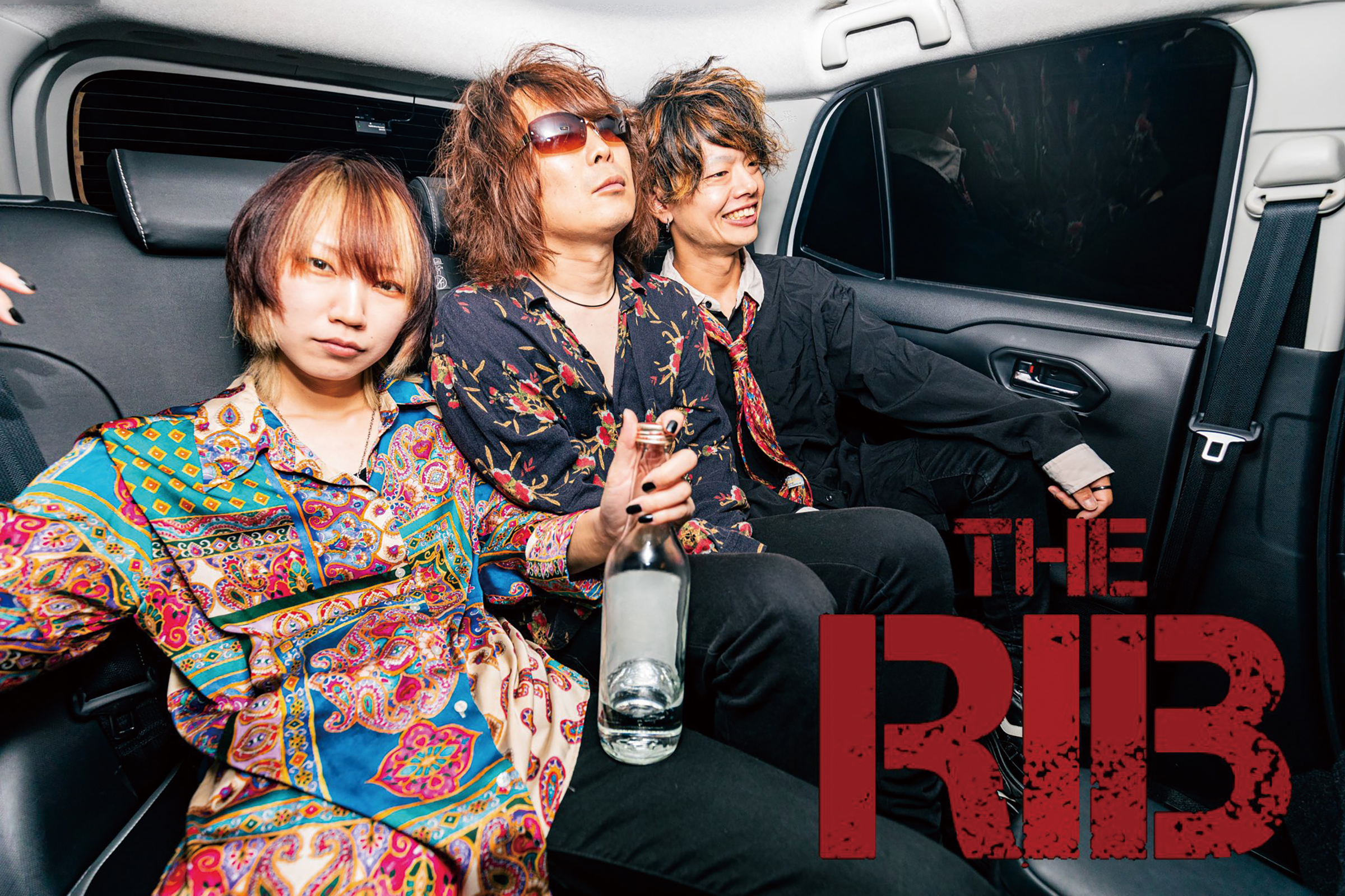THE RIB