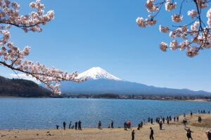 今回は、「河口湖カッパ伝説」をスッポンポーン！