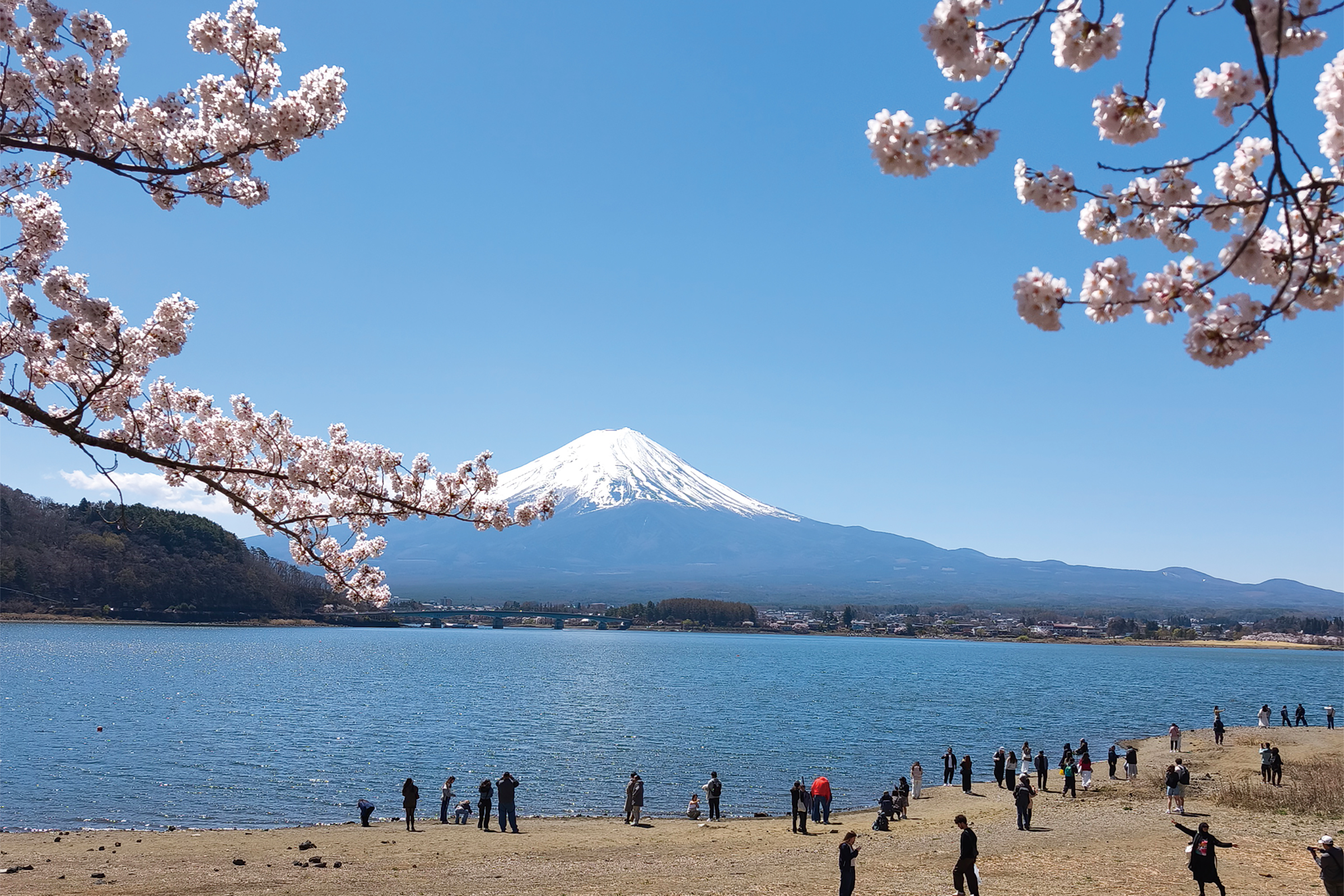 今回は、「河口湖カッパ伝説」をスッポンポーン！